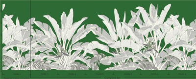 Rcm-2542 Giant Strelitzia, 6 Panel Set Whites And Mocha On Dark Green