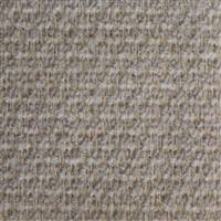 TM-159-01 Clean Stain Resistant Boucle