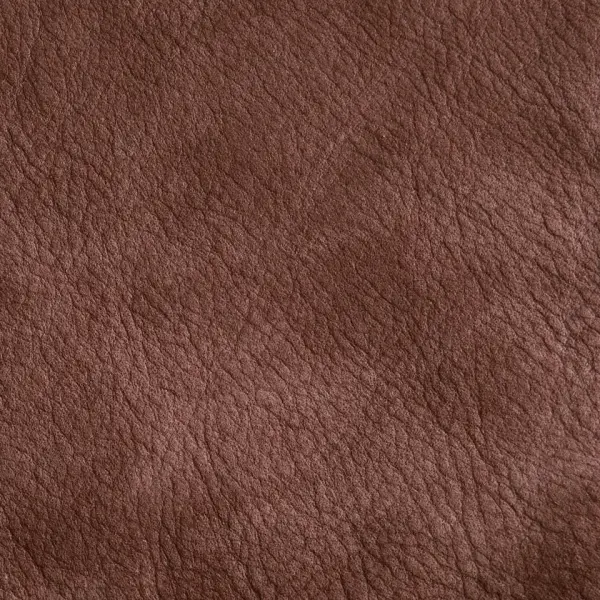 VP-08-8005