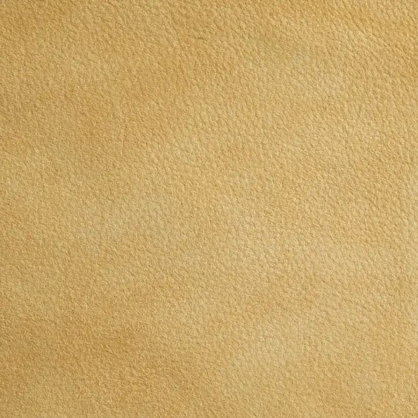 VP-08-8006