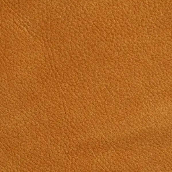 VP-08-8010