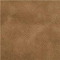 VP-08-8012 SAMBA aniline-dyed nubuck effect