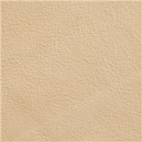VP-08-8013 SAMBA aniline-dyed nubuck effect