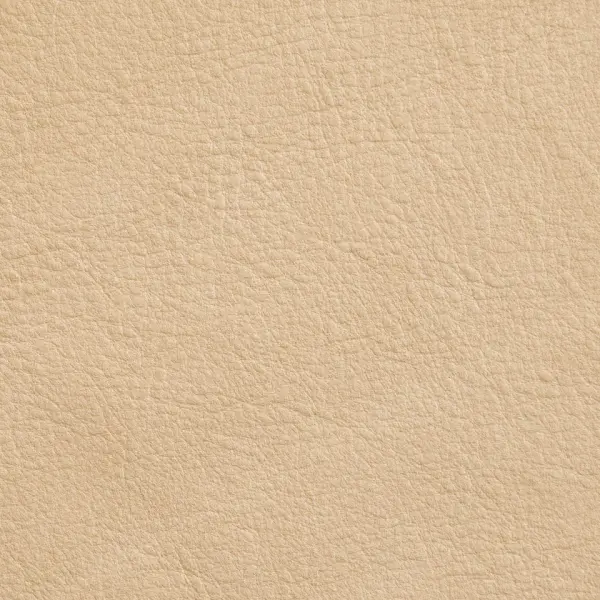 VP-08-8013