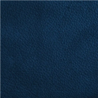 VP-08-8017 SAMBA aniline-dyed nubuck effect