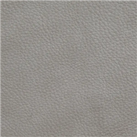 VP-08-8025 SAMBA aniline-dyed nubuck effect