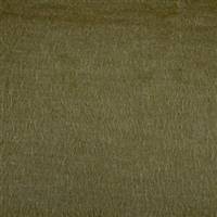 Valli-606 Fern