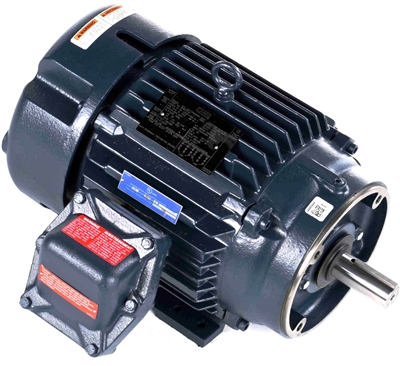 213TTGN16526-electric-motor