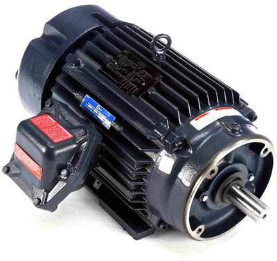 215TTGN16526-electric-motor