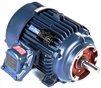 256TTGN16513-electric-motor