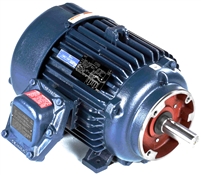 256TTGN16513-electric-motor