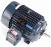 256TTGN16539-electric-motor