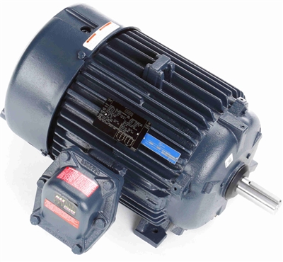 256TTGN16539-electric-motor
