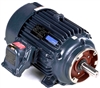 256TTGN16543-electric-motor