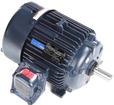 256TTGS16514-electric-motor