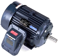 286TTGN16033-electric-motor