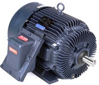 326TSTGS16503-electric-motor