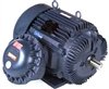 364TSTGS16504-electric-motor