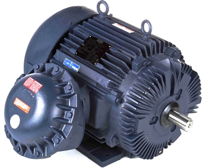 364TSTGS16504-electric-motor