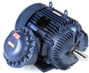 364TTGS16035-electric-motor