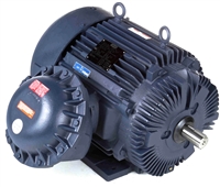 365TSTGS16507-electric-motor