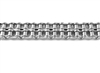 #80-2 Double Strand Stainless Steel Roller Chain