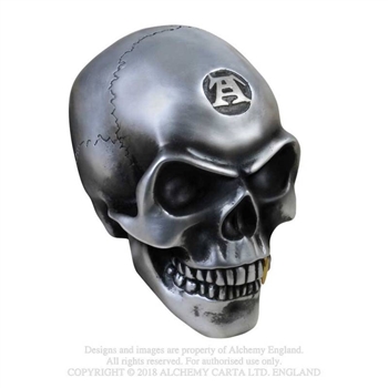 Alchemy Gothic Metalised Alchemist Skull