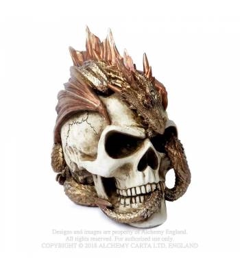 Alchemy Gothic Dragon Keepers Skull