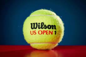 Wilson US Open Tennis Ball Extra Duty 24 cans