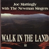 WALK IN THE LAND - audio CD