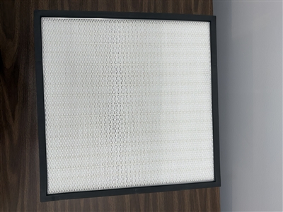 RA00565 - Sentry Filter Insert, LSAM