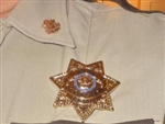 Walking Dead King County GA Sheriff Badge