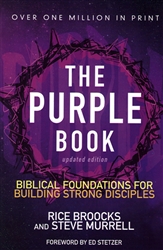 Purple Book Biblical Foundations for Building Strong Disciples by Rice Brocks and Steve Murrell