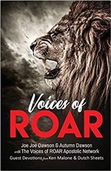 Voices of Roar by Joe Joe Dawson