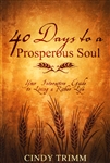 Prosperous Soul Study Guide by Cindy Trimm