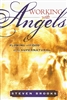 Working with Angels by Steven Brooks