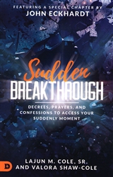 Sudden Breakthrough by LaJun and Valora Cole