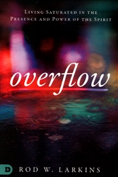 Overflow by Rod Larkins