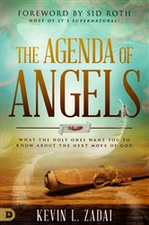 Agenda of Angels by Kevin Zadai