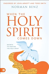 When the Holy Spirit Comes Down by Norman Benz