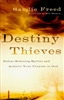 Destiny Thieves by Sandie Freed