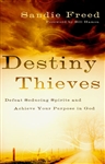 Destiny Thieves by Sandie Freed