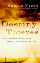 Destiny Thieves by Sandie Freed