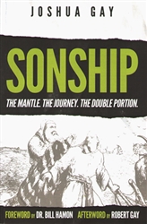 Sonship the Mantle The Journey the Double Portion by Joshua Gay