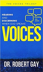 Voices by Robert Gay