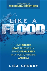 Like a Flood by Lisa Cherry