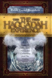 Haggadah Experience The Pesach Haggadah with Classic Stories and Commentary From Our Gedolim