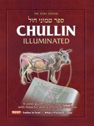 Chullin Illuminated, Revised Edition