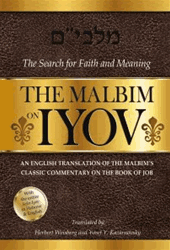 The Malbim on Iyov