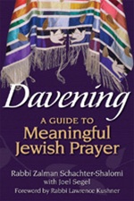 DAVENING A Guide to Meaningful Jewish Prayer